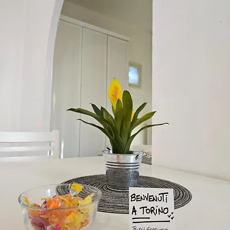 La Palazzina Al Lingotto Apartment